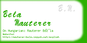 bela mauterer business card